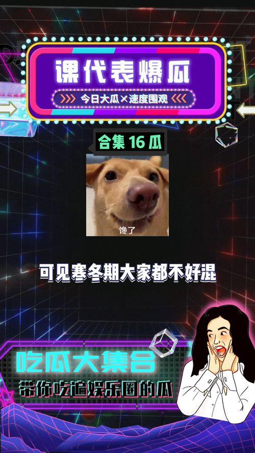 娱乐八卦开心吃瓜图片,开心吃瓜，笑翻你的周末时光！