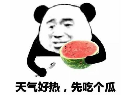 吃瓜表情包小图,趣味横生的网络文化现象